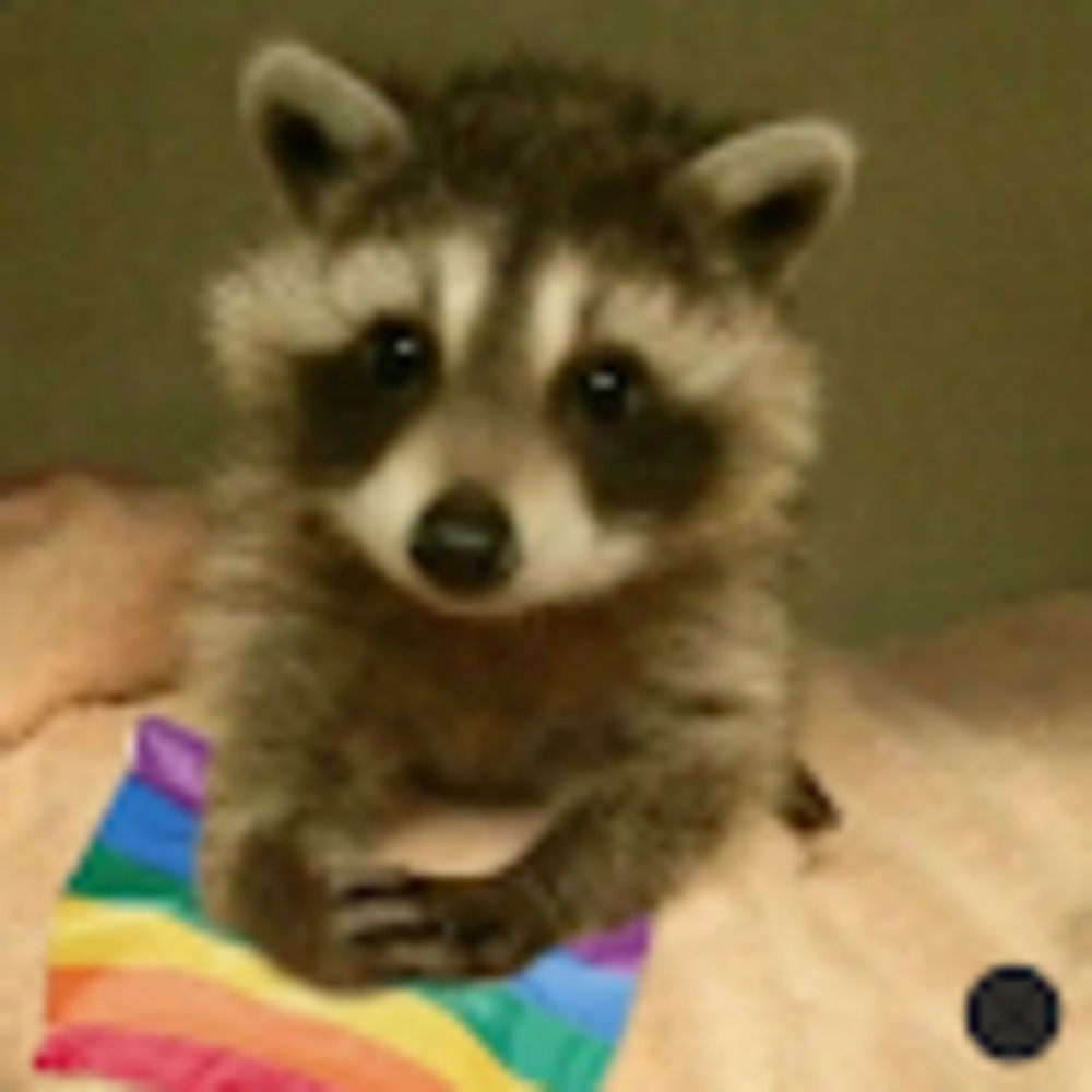 Meet your Posher, Moth